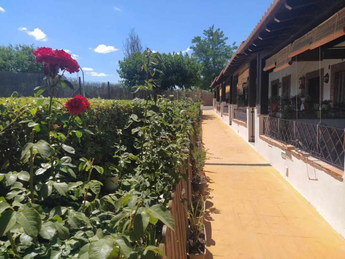 Casa Rural Alamillo Luque Exterior foto